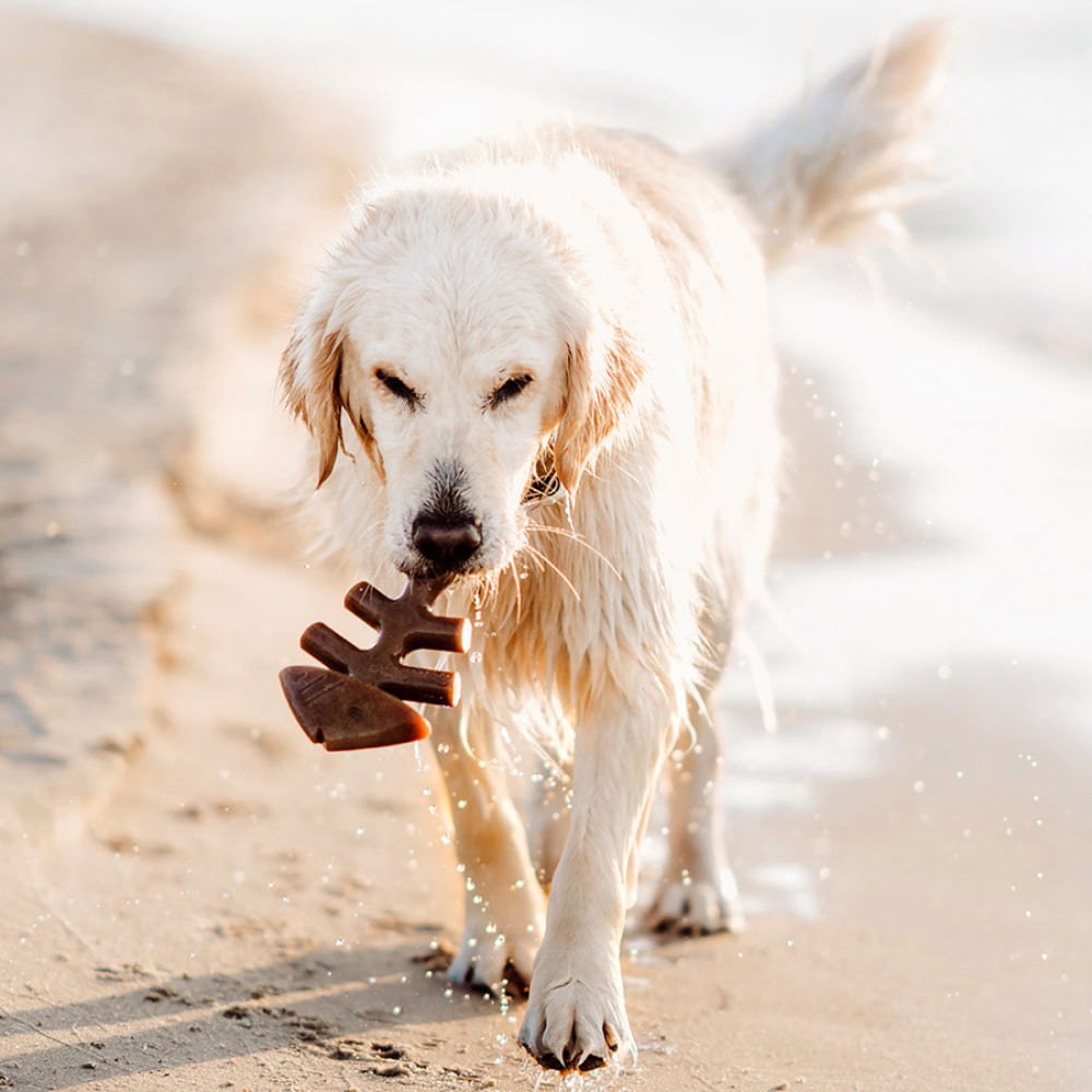K-Shop Pet Grooming Slicker Brush