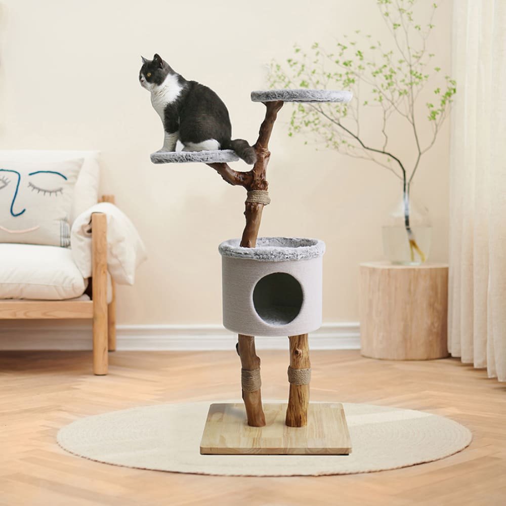 K-Shop Cat Litter Scoop & Cleaning Set