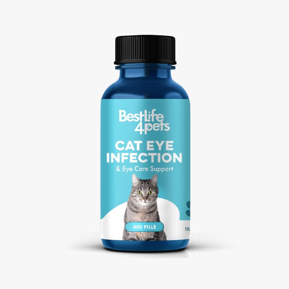 K-Shop Pet Wet Wipes Pack